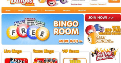 Netplay Bingo