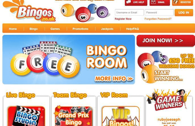 Netplay Bingo